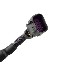 Load image into Gallery viewer, 25383922 X-Link Adapter Harness Module For Gen III / IV LS Engine Holden VZ LS1
