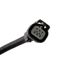 Load image into Gallery viewer, 25383922 X-Link Adapter Harness Module For Gen III / IV LS Engine Holden VZ LS1

